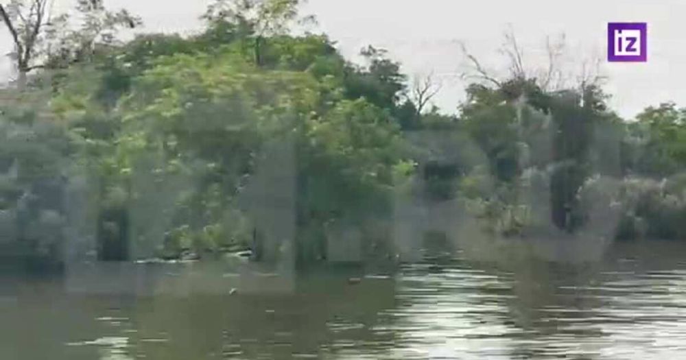 ��������� "��������" ������������ � �������� ������� ����� ��������