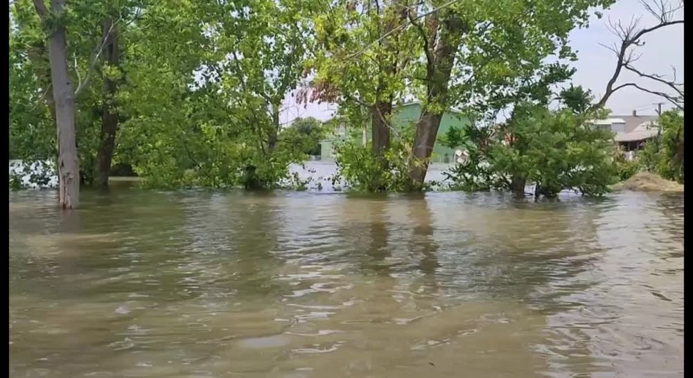 ������ �������� �� ���������