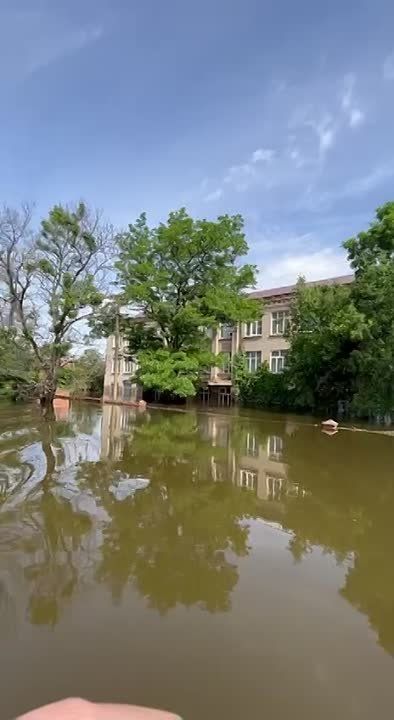 ����������� ���������� � ���� �������� �������������� ���������� ������