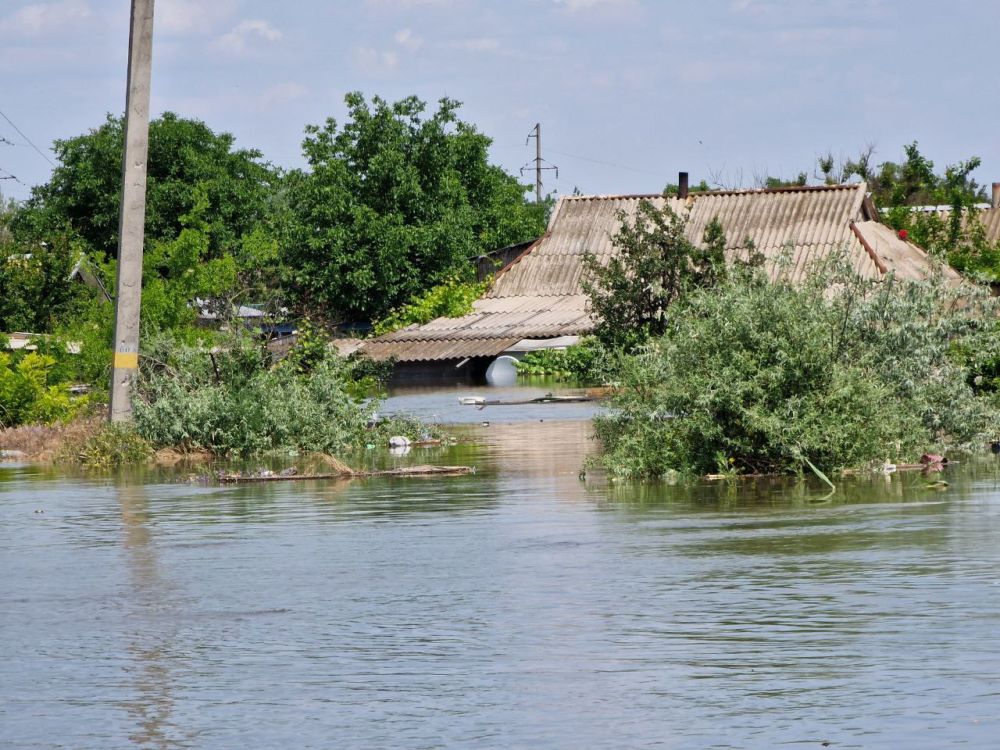 ���������� ����� ������������� ��������� �� ��������� ���� � ����������