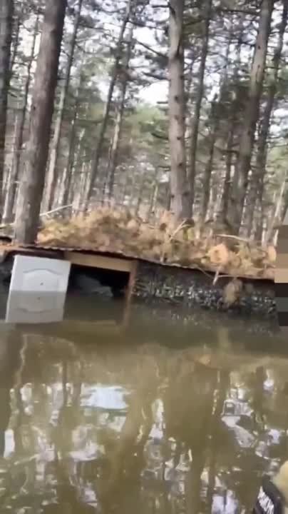 ���������� �������. ���������� �� ������ �������� �� ������