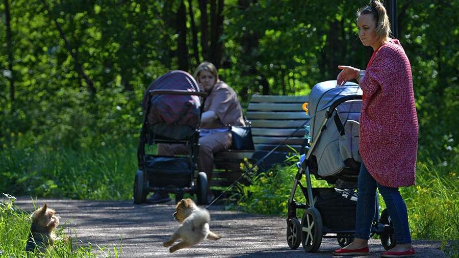 ������ ����� �������� �������� 76,5 ���. ������������ �� ����������