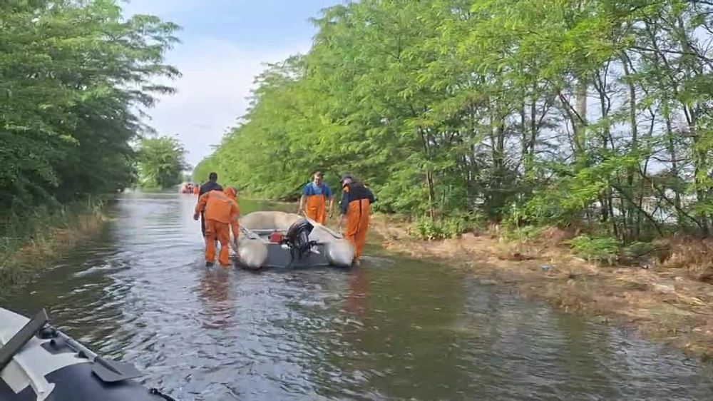 � ����� ������� ���� ���������� ������