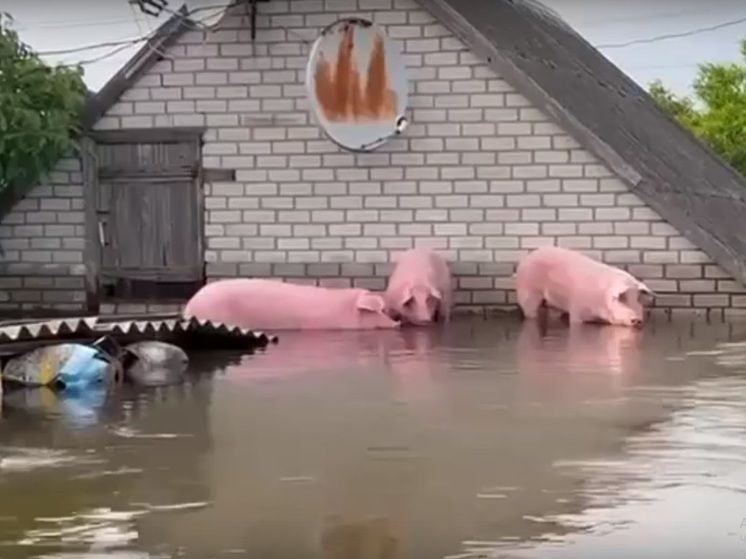 ��������� ���������� ���� ���� � ����������� ���������� �������