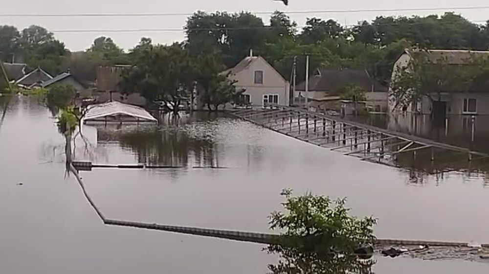 ���� ���� ��� ��������