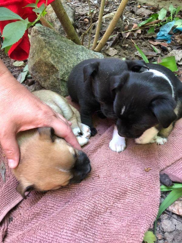 ���������� ������������ ����� � ���������� �������� �������� � ���������� ����� ������� � �� ���������