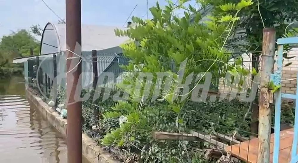 ���� ��� ������ ��� ���� ���� � ������ �������� �������� � ���� ���� ����� ����, ��� �� ��� ��������