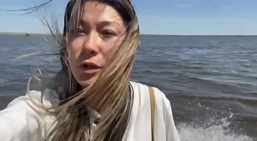 �������� ����� ������ ������