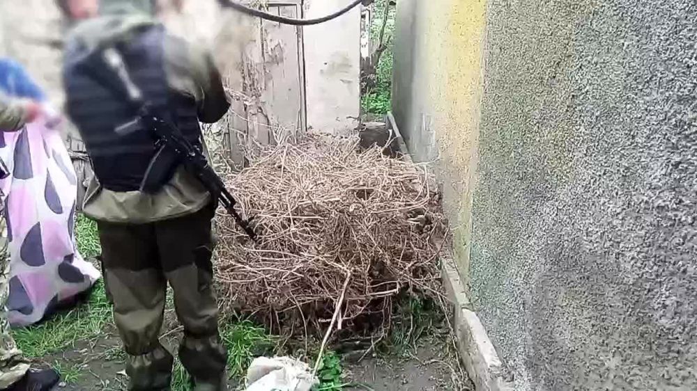 ������� ���������� ������� ������ � ������ �. ����� ������ ����� 35 �� ��������� � �������