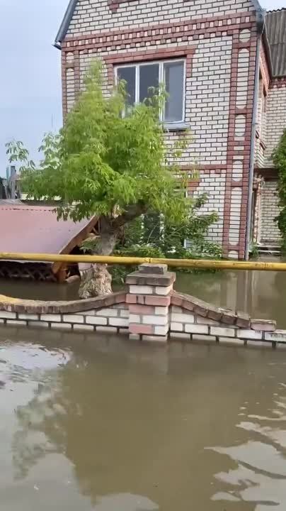 ������.... �� ���������� �����: