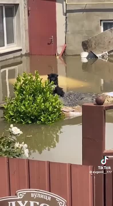 � �� ��� ������.... �� ������������ ���������� ���� �������� �� ������� 5,38 �., � ������� � �� ������ 5,35 �