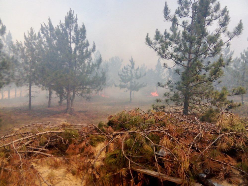 ���������� �������. ����� ������. � ������: