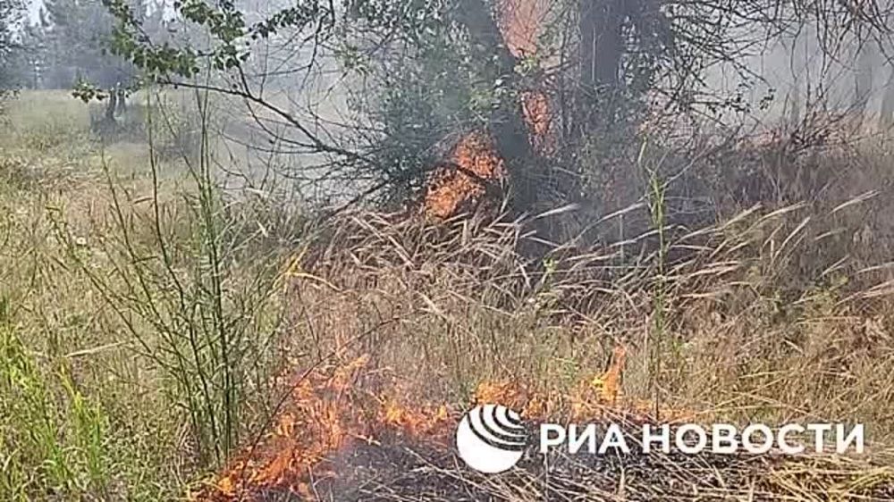 ���� ����� � ���������� ������� ��-�� ���������� ���������