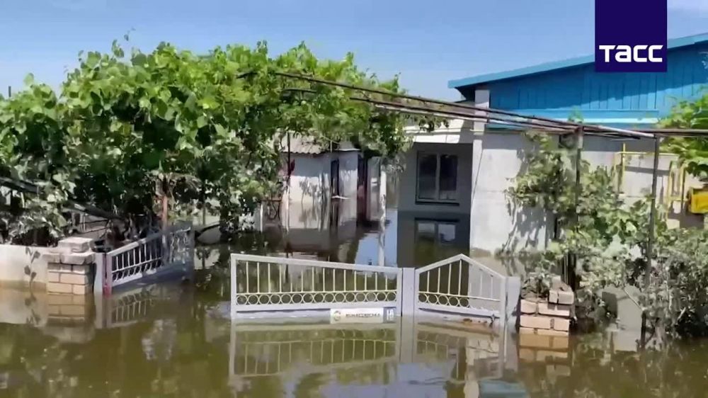 ��� ������ � �������������� ����������� "�����" ���������� ��������� ������������� ������� �� ��� ����������� � ������ ��������� ��� � ���������� �������