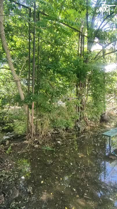 � �� ��� ������..... � ������ �������� � ������� ����������� ������������ �������� ������ ����, �������� "����"