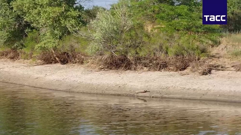 ���������� ����� � ��������� ����� ���������� ���� ������ �� ��������� ������ ��-�� ������� ������ ���� � ��������� �������������, �������� ��� �������������