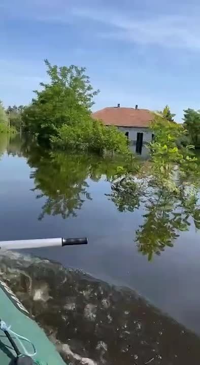 ��������������� ������ ������ ��������� ������������� �����������