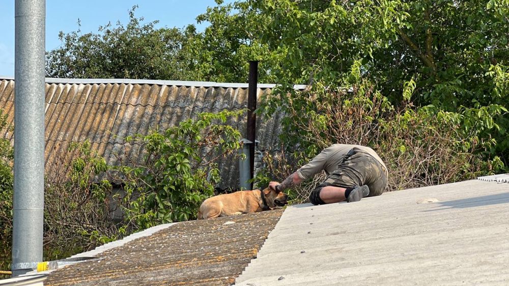 ������������ ������ �� ��������� ����������� �� ���� ����������