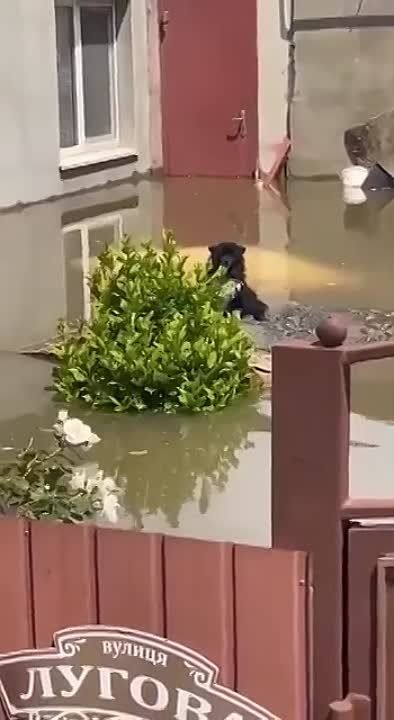 ����� ��������� �� ����� � ����� �������� � ���������� �������: ������� �� ������ �����, �� � ��������