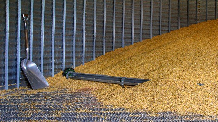 ��������? ������ �� � ���. ������ "��������� ����" ����� �� ������ � ����