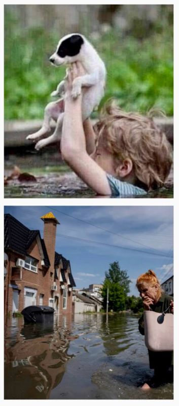 �������� �������� ��������� �������� �� ��������� ��� ���� �� ����������� ������� �������������-�������