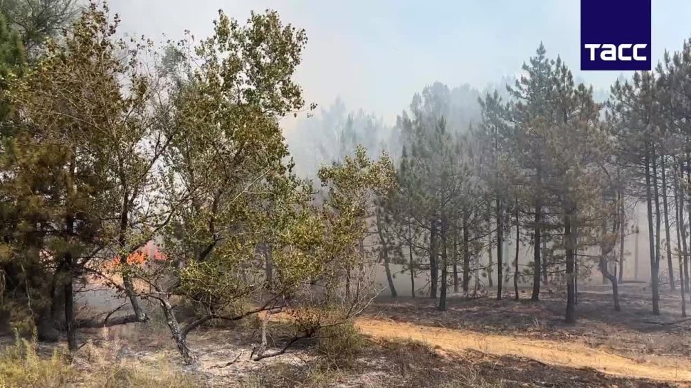 ������ ����� ����� �������� � ��������, ������� ����� ��� ��������� ������� ����� � ����� ��������, ��������� ���� ��������� ����� ���������� ����������� �������� ��������� ���, �������� ��� �������������