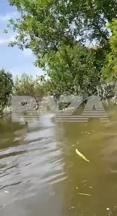 � ���������� ������� ���������� �������� � ������������� ����������