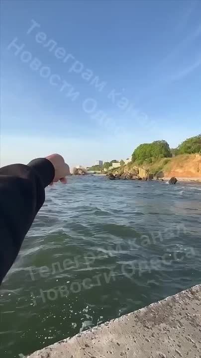 ������� ��� ���-�� [�������], ����� � ������... ����� �����