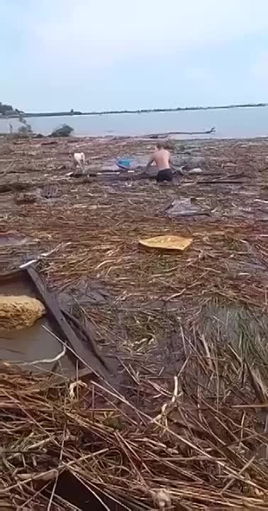 �����1. � ������ ������ ������, �������, ��� ���������� � ��������, �������� �� ����� ����� 140�� - � ���� ���������� � �������