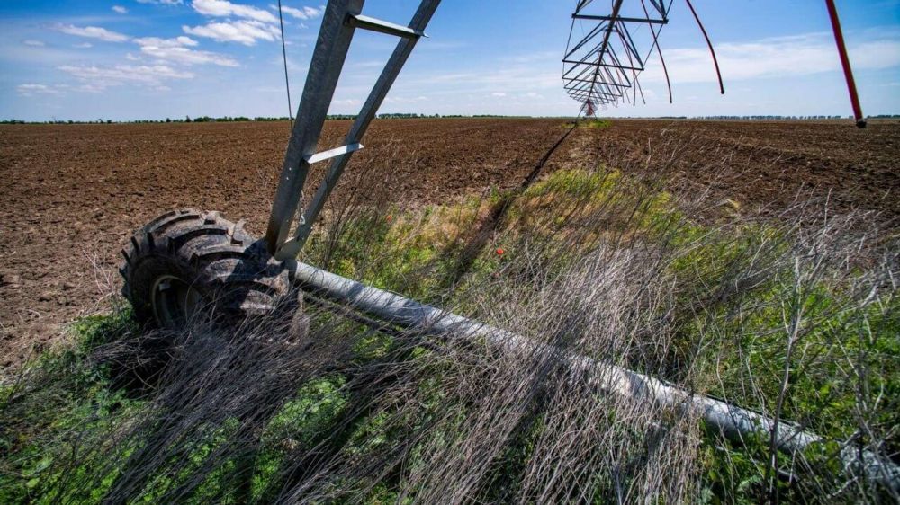 ��� ����� � �������� ���������� ���������� ����� �� �� ��������� ���