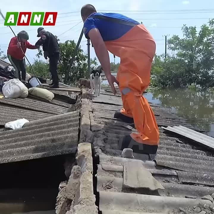 ���������� ��� ������ ������ �� ����������� ������� ���������� ������� ����� �������� ����� �������