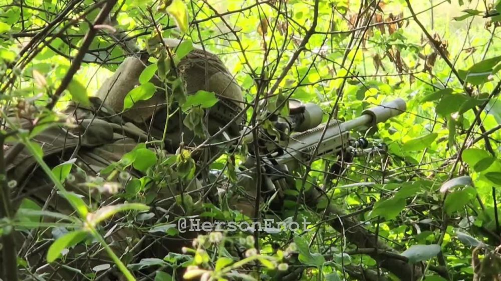 ���� �� �������: ������, �� ���� ������������ ��� ������