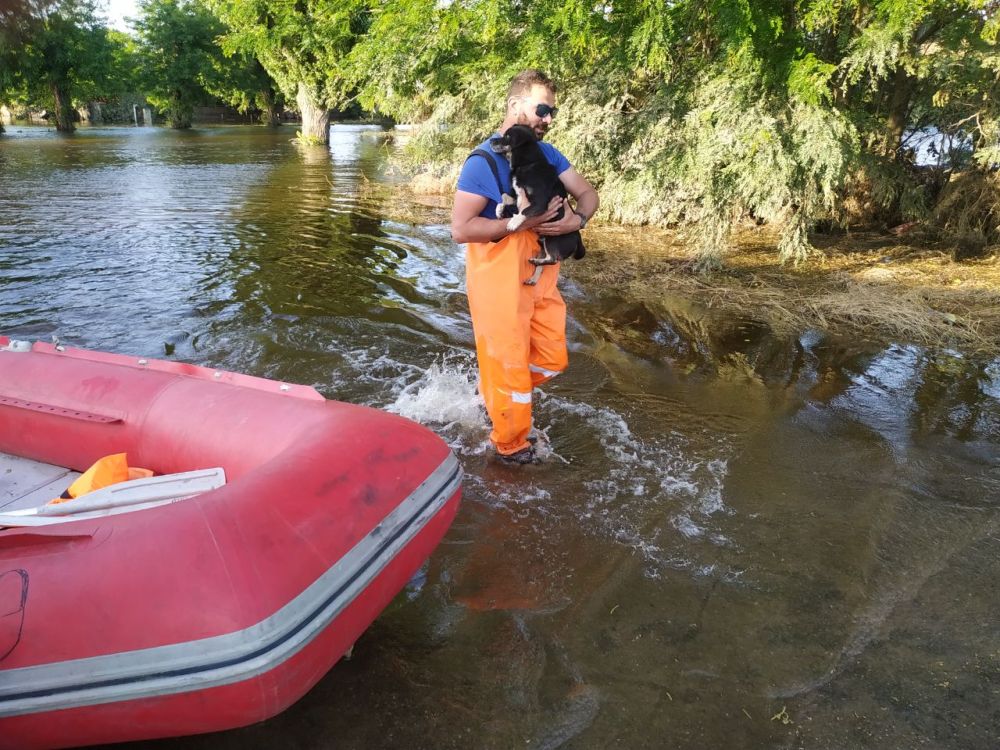 ����������� ���� ����� ������� ��������, ��� ��� ���������� ���������� ���������� ��������� � �����������