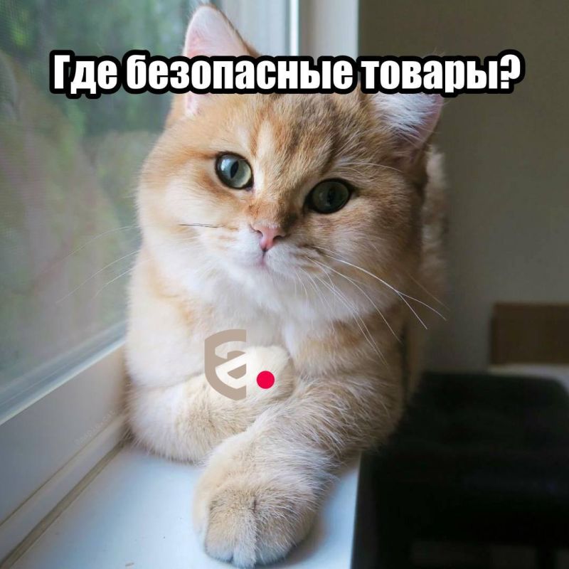 ���� + ������ + ����������� = ������������ � �������!