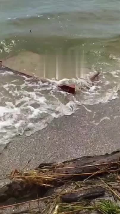 ����� ���������: �� ��������� �������� ������� ������� ������� ����� �� ����������� ����� ���������� �������� ������� ��������� ��� ������� ����������