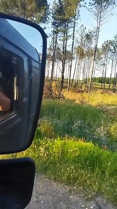 ����� � ������. ���������� �������