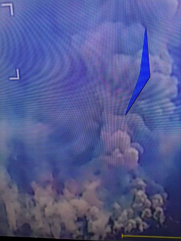 ���������� �������, ��� �����