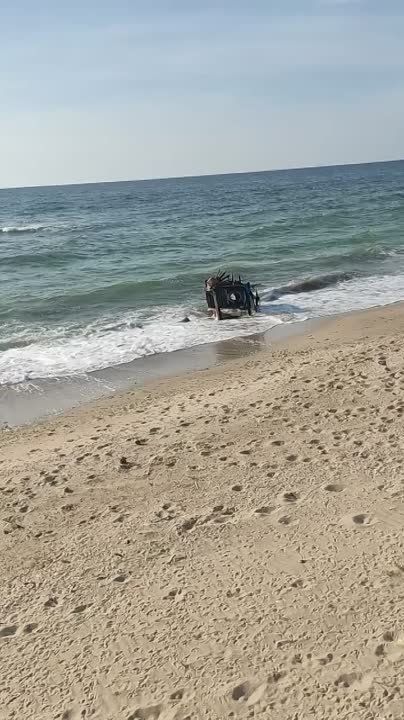 �� ���� �������� ������� ������� ������-�����������, ������ �� ����������� �������� ���������� �������