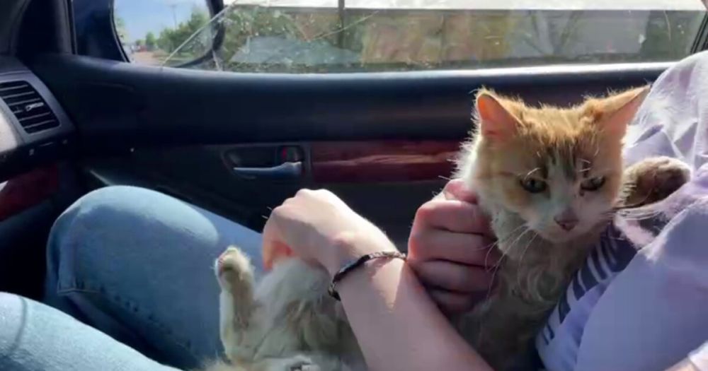 ��������� �������� �� ���������� ������� ����� � ����������� ��� �������