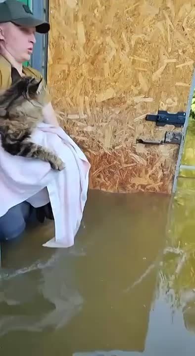 ��������� ����-���� ������ �� ������ � ���������� �������