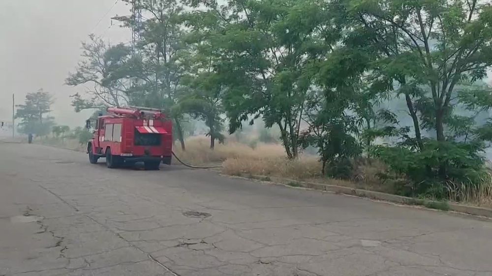 ��������� �������-������������ ������������� ���������� �������� �� ������� �������