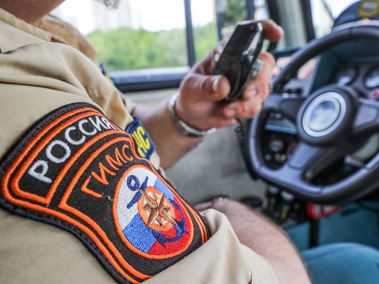 ���������� ����������� �������� ��������, ��� ��� ������ ������� ������� ���������� �������