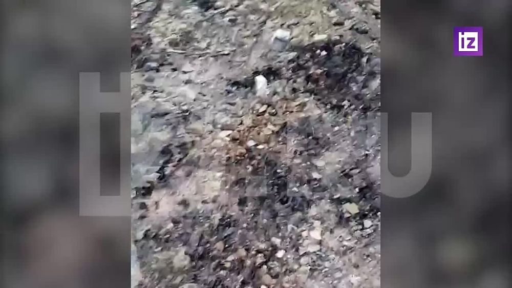 �� ������ � ����������� ��������� �������� ��� ������ ���������� ���������� �� ���������� ������� � ���������� �������