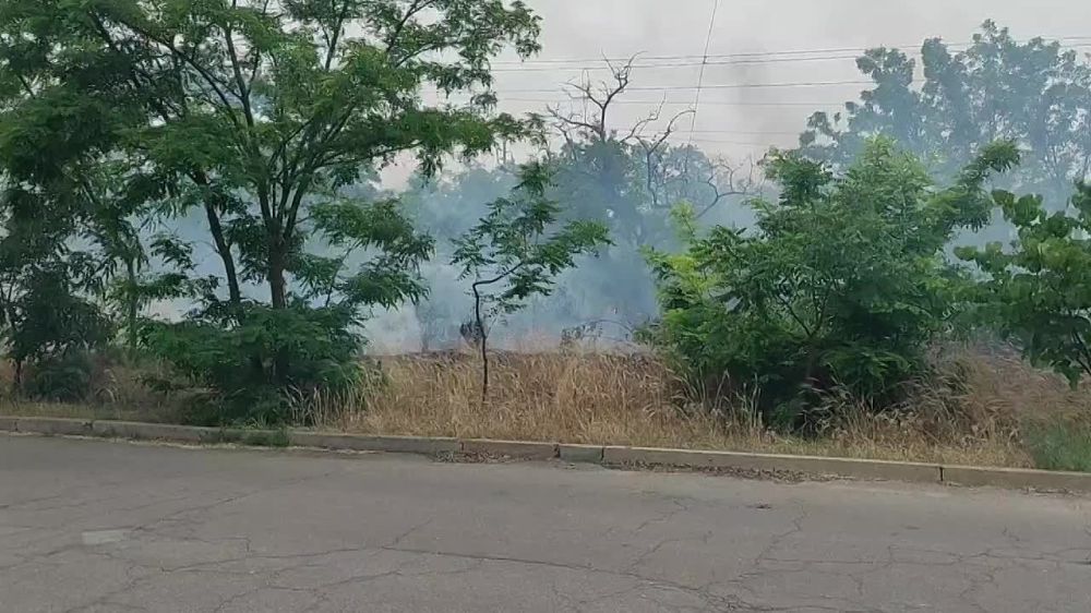 � ����� ������� ������ �����