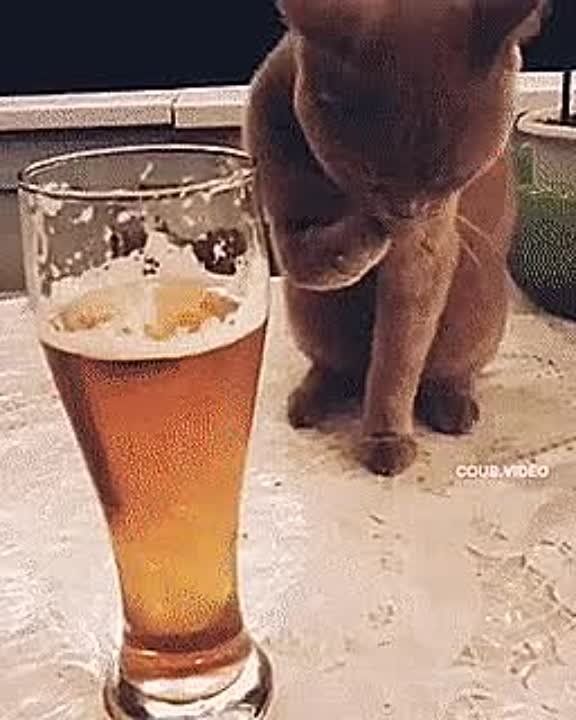 ������ ����� �� ������� ��������������.