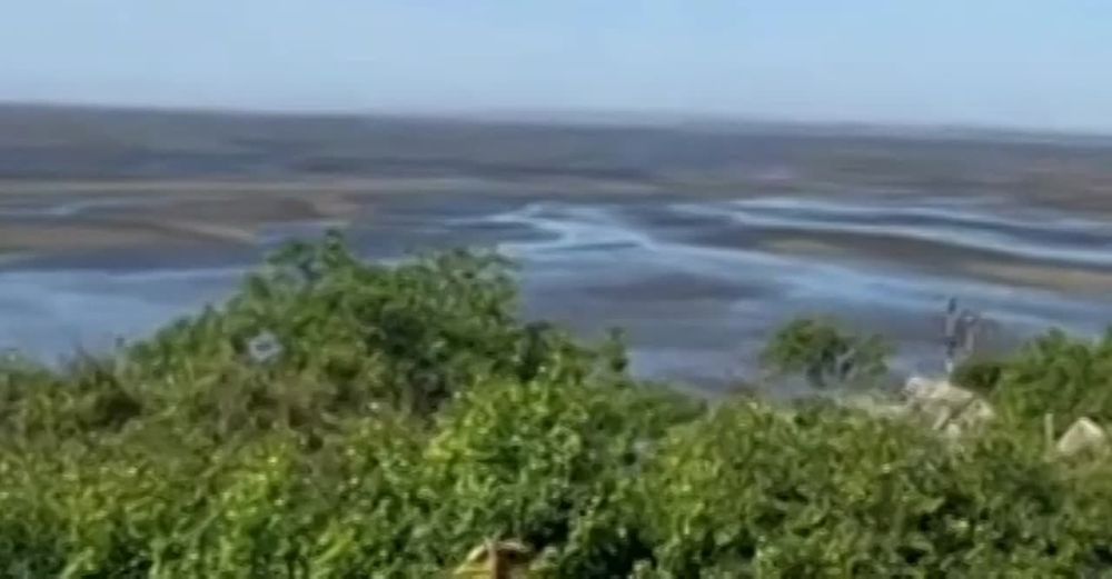 ���� ����� ��������� ���� �� ����������� ����� �������