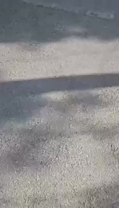 � ���������� ������� � ���� ������ ������ 2-������� ������