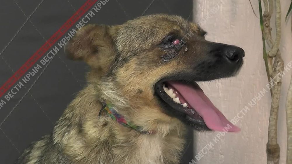 ��������� �������� �� ���������� ������� ����� �� ������� � �����������