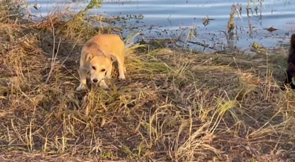 � ��� ������ ��� ����� ����� ����� ����� ��������� � ����������� ������ ����������� ��������