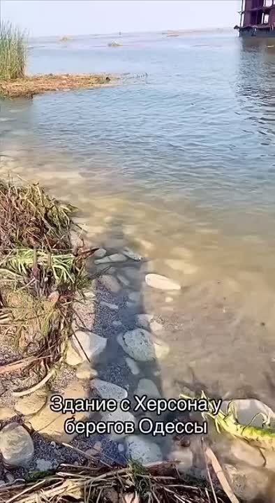 � ������� ������ ���������� ��������� ������ ���� � ���� �� ���������� �������